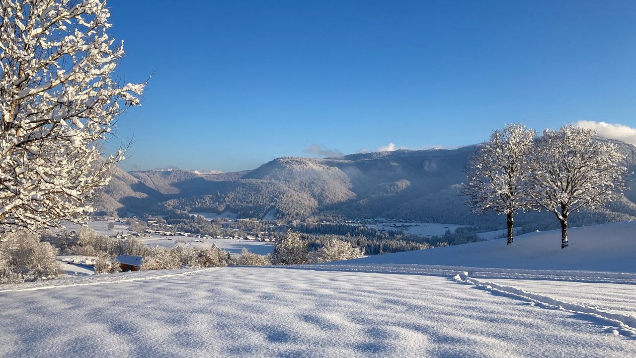 Golfplatz im Winter Golfplatz im Winter